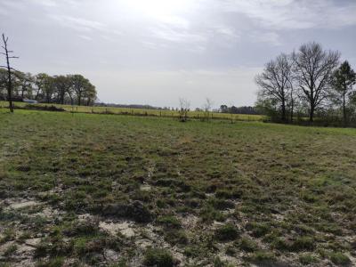 Acheter Terrain 1217 m2 Ygos-saint-saturnin