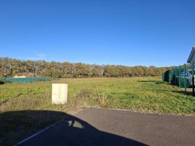 Annonce Vente Terrain Cazeres-sur-l'adour 40