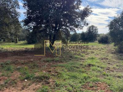 Annonce Vente Terrain Saint-siffret 30