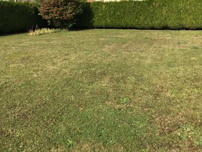 Acheter Terrain 431 m2 Montreuil