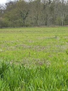 Acheter Terrain 3346 m2 Gouvieux