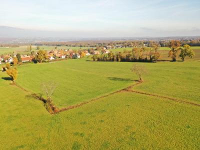 Annonce Vente 5 pi�ces Maison Vulbens 74