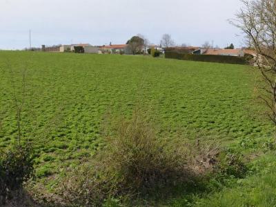 For sale Loire-les-marais 400 m2 Charente maritime (17870) photo 0