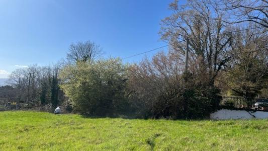 Annonce Vente Terrain Cotes-d'arey 38