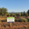 For sale Land Peyrolles-en-provence  387 m2