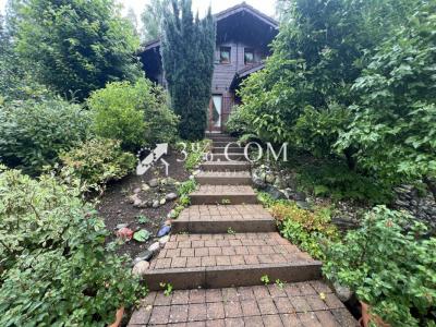 Acheter Maison Saint-maurice-sur-moselle 556000 euros