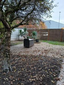 Annonce Vente 2 pi�ces Appartement  10