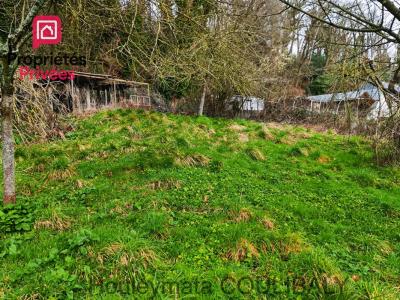 Acheter Terrain Maneglise 125000 euros