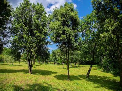 Acheter Prestige Uzes Gard