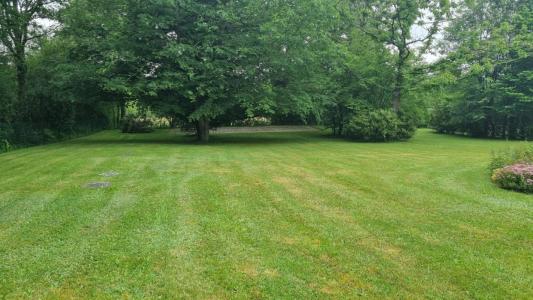 Acheter Terrain Saint-denis-d'orques Sarthe