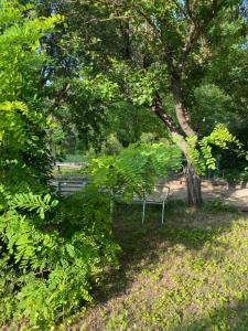 For sale Bormes-les-mimosas 2 rooms 44 m2 Var (83230) photo 3