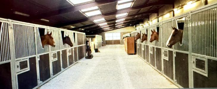 Annonce Vente 8 pi�ces Maison Reims 51