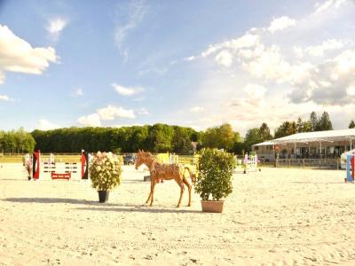 Acheter Maison Reims Marne