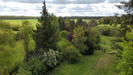 Annonce Vente Prestige Pressigny-les-pins 45