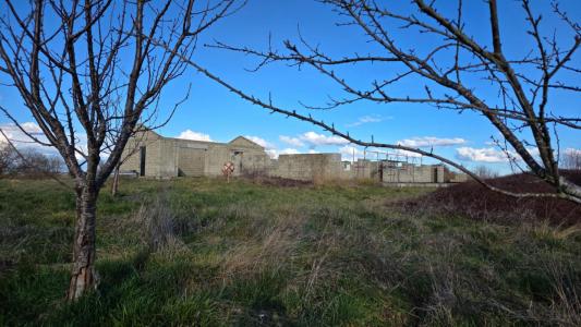 Acheter Maison 100 m2 Marciac