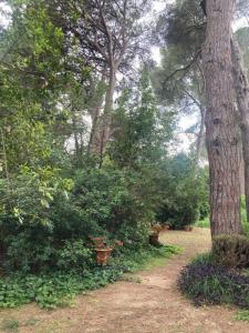 Annonce Vente Prestige Montpellier 34