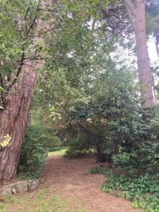 Acheter Prestige 260 m2 Montpellier