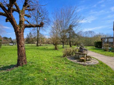 Annonce Vente 6 pi�ces Maison Chatres-sur-cher 41