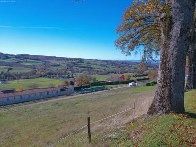 Acheter Terrain Grand-serre 55000 euros
