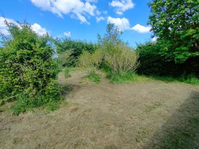 Acheter Maison Saint-martin-des-tilleuls Vendee