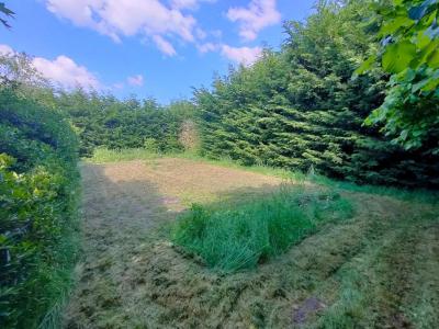 Acheter Maison Saint-martin-des-tilleuls 76000 euros