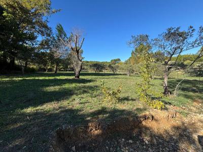 Annonce Vente Terrain Flayosc 83