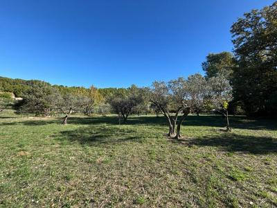 Acheter Terrain Flayosc 214000 euros