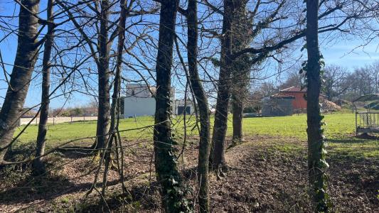 Annonce Vente Terrain Poncins 42