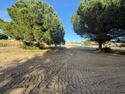 For sale Agde 768 m2 Herault (34300) photo 0