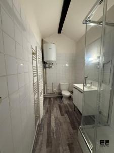Louer Appartement Villeurbanne Rhone