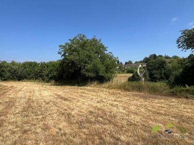 Acheter Terrain Chateauneuf-la-foret Haute vienne