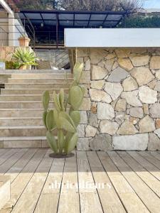 Acheter Prestige Cannet 1490000 euros