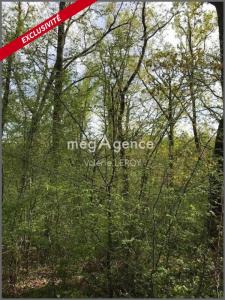 For sale Aillas 32767 m2 Gironde (33124) photo 4