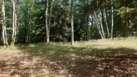 Annonce Vente 5 pi�ces Maison  87