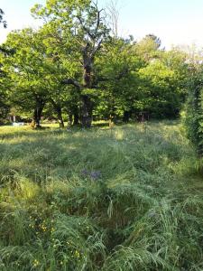 Annonce Vente Terrain  30