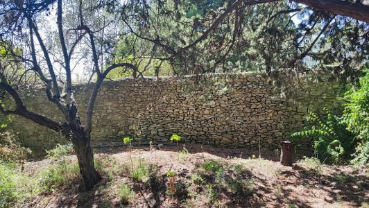 Annonce Vente Terrain  30