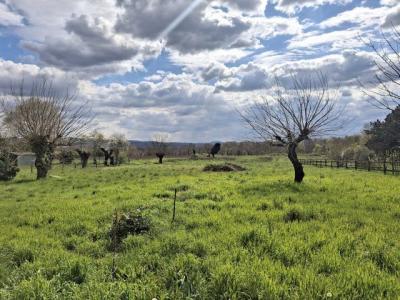 Annonce Vente 5 pi�ces Maison  07