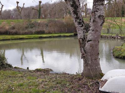 Acheter Maison Chatillon-sur-indre Indre