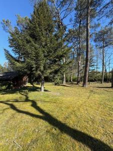 Acheter Maison 130 m2 Mont-de-marsan