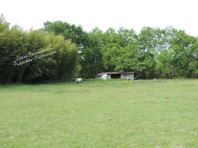 Annonce Vente 7 pi�ces Maison Luglon 40