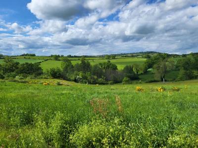 Annonce Vente Terrain Saint-marcel-de-felines 42