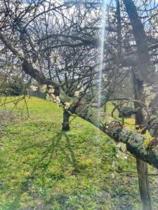 For sale Deols 640 m2 Indre (36130) photo 0