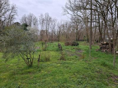 For sale Saint-selve 1500 m2 Gironde (33650) photo 0