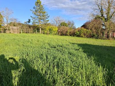 Annonce Vente Terrain Cursan 33