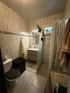 Acheter Appartement 43 m2 Saint-denis