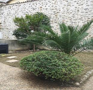 For rent Carcassonne 3 rooms 81 m2 Aude (11000) photo 1