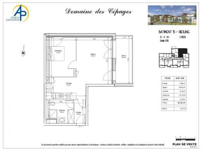 Louer Appartement 45 m2 Colmar
