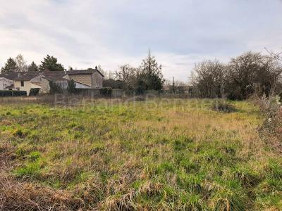 Annonce Vente Terrain Paizay-le-chapt 79