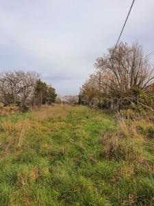 For sale Paizay-le-chapt 2139 m2 Deux sevres (79170) photo 0