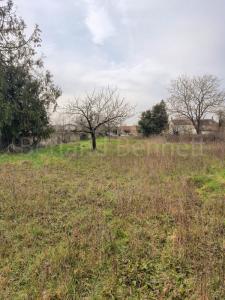 Annonce Vente Terrain Paizay-le-chapt 79